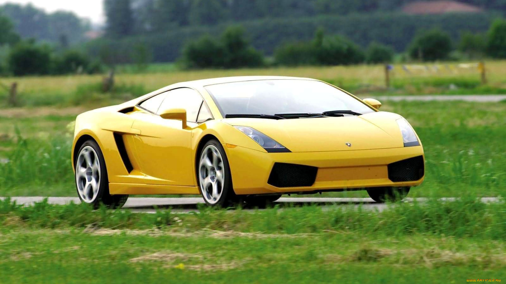lamborghini, gallardo, , , automobili, s, p, a, 